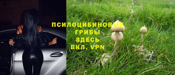 кокс Медвежьегорск
