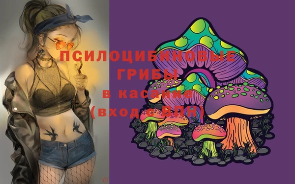 герыч Мегион