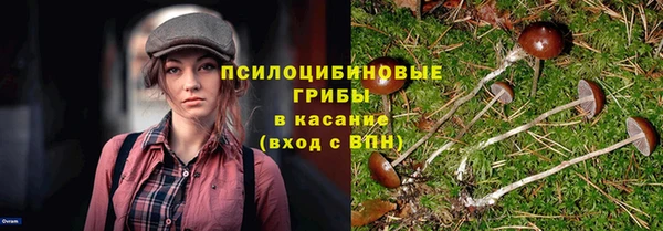 герыч Мегион