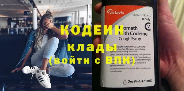 хмурый Верея