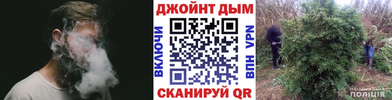 это наркотические препараты  Заволжск  Шишки марихуана Bruce Banner 